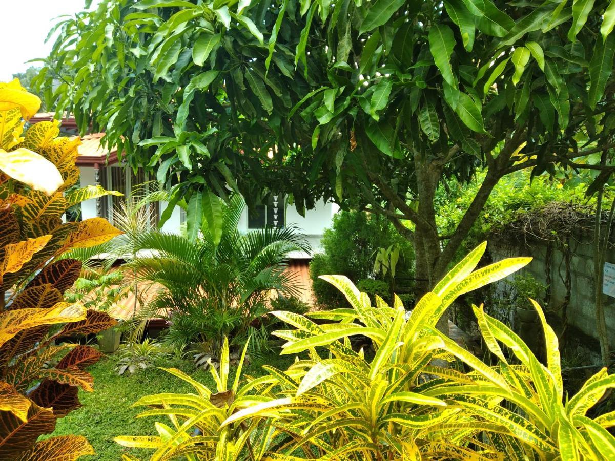 Sandhara Home Stay Tangalle Εξωτερικό φωτογραφία