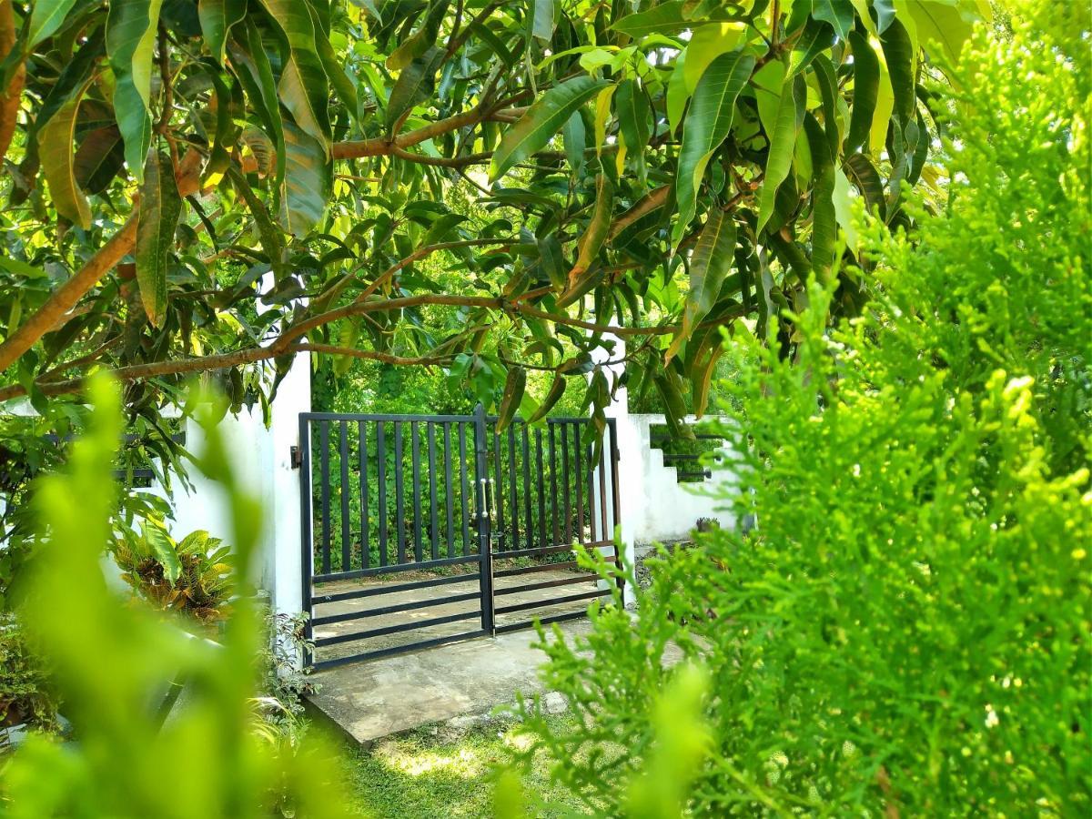 Sandhara Home Stay Tangalle Εξωτερικό φωτογραφία