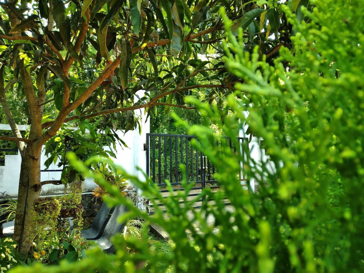 Sandhara Home Stay Tangalle Εξωτερικό φωτογραφία